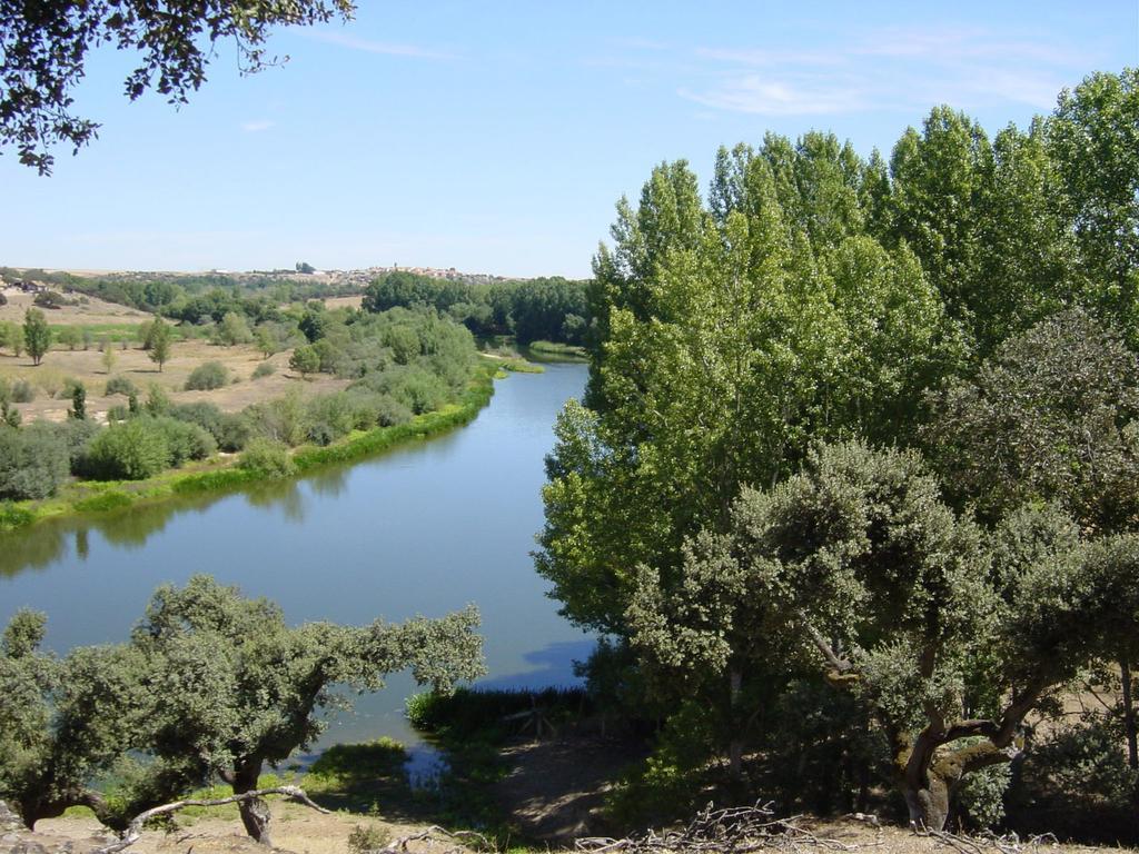 La Torrecilla Con Piscina Privada San Pedro Del Valle
