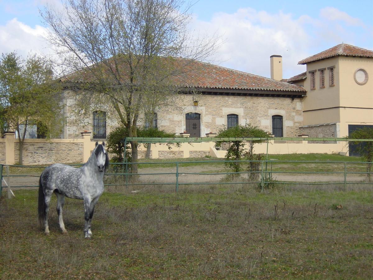 La Torrecilla Con Piscina Privada *